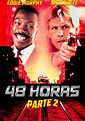 48 Horas - Parte II filme - Veja onde assistir