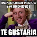 Meme Willy Wonka - Imag%C3%ADnate t%C3%BA y yo siendo novios Te ...