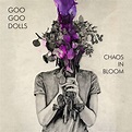Goo Goo Dolls: Chaos In Bloom CD. Norman Records UK