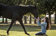Film Review: "Black Beauty" is a Heartwarming Disney+ Film for the ...