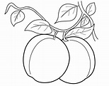 Peach 1 Coloring Page - Free Printable Coloring Pages for Kids