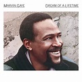 Dream of a Lifetime: Marvin Gaye, Marvin Gaye: Amazon.fr: CD et Vinyles}