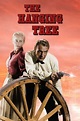 The Hanging Tree (1959) — The Movie Database (TMDB)