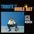 Wonder, Stevie 'Tribute To Uncle Ray' Vinyl Record LP | Sentinel Vinyl