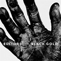EDITORS - Black Gold : Best of Editors (2LP Set) - The Vinyl Store