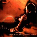 La Bible de la Westcoast Music - Cool Night -: David Paton "Under The ...