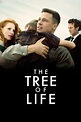 The Tree of Life (2011) - Terrence Malick | Synopsis, Characteristics ...