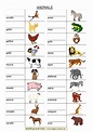 Mappe per la Scuola - ANIMALS, animali - Verifica 2