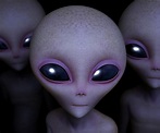 Israeli space chief says aliens may well exist, but they haven't met ...