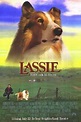 Lassie in Not | Film 1949 - Kritik - Trailer - News | Moviejones