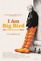 I Am Big Bird: The Caroll Spinney Story (2014) - IMDb