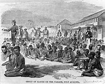 Why did the British Empire abolish slavery in 1833 at the height of its ...