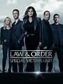 Law And Order: Special Victim's Unit Season 22 DVD | lupon.gov.ph