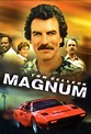 Magnum - Série (1980) - SensCritique