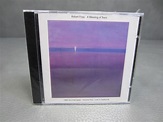 A Blessing of Tears: 1995 Soundscapes, Vol. 2 by Robert Fripp (CD, Aug ...
