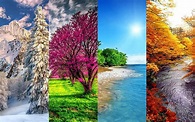 4 seasons, winter, spring, summer, autumn, spring summer autumn winter ...