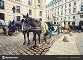 Horse-driven carriage at Hofburg palace in Vienna, Austria Stock Photo ...