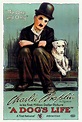 Ein Hundeleben | Film 1918 | Moviepilot.de