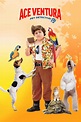 Ace Ventura Jr: Pet Detective (2009) - Posters — The Movie Database (TMDB)