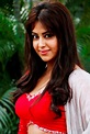 Telugu Actress Avika Gor Latest Photoshoot Images