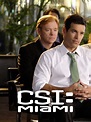 CSI: Miami: Season 8 Pictures - Rotten Tomatoes