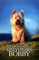 The Adventures Of Greyfriars Bobby - Film 2005 - AlloCiné