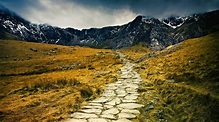 Free photo: Pathway - Activity, Human, Path - Free Download - Jooinn