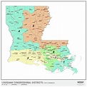 Louisiana 2022 Congressional Districts Wall Map by MapShop - The Map Shop
