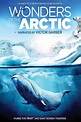 Wonders of the Arctic (2014) - Posters — The Movie Database (TMDB)