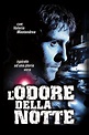 Lodore della notte (película 1998) - Tráiler. resumen, reparto y dónde ...