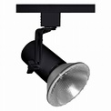 Juno Lighting Group Black Track Light Head | T691 BL | Destination Lighting