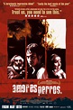 Amores Perros Movie Poster (#5 of 5) - IMP Awards