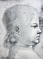 The Portrait Of Maximiliano Sforza By Bernardino De Conti Stock Illustration - Download Image ...