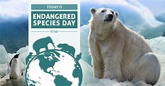 Endangered Species Day (May 21) – iVET360 Social Calendar