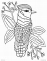 Coloring Pictures Free Printable
