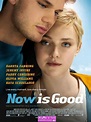Niebla Misteriosa : Poster de "Now Is Good"
