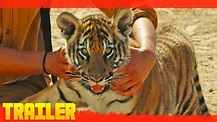 El Niño Y El Tigre (2023) Tráiler Oficial Subtitulado - YouTube