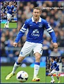 Aiden McGEADY - Premiership Appearances - Everton FC