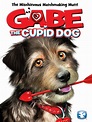 Watch Gabe: The Cupid Dog | Prime Video