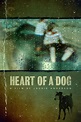 Laurie Anderson’s Heart of a Dog Joins the Criterion Collection on ...