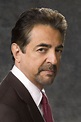 Joe Mantegna - Profile Images — The Movie Database (TMDb)