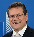 Podpredseda Európskej komisie Šefčovič vymenovaný za spolupredsedu Rady ...