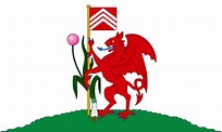 Buy Cardiff Flags Online | Outdoor Quality Glamorgan Flags | MrFlag