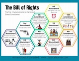The Bill of Rights Cheat Sheet - Etsy
