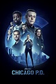 Chicago PD Season 10 Poster - Chicago PD (TV Series) Photo (44601284 ...