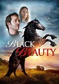 Black Beauty - película: Ver online completas en español
