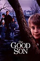 The Good Son (1993) - Posters — The Movie Database (TMDB)