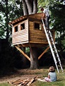 How to Build a Treehouse for Your Backyard - DIY Tree House Plans