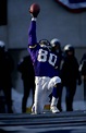 Minnesota Vikings All-Time Starting Offensive Team | News, Scores ...