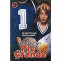Picasso Y Pie Grande Big Y Hairy Pelicula Dvd QUALITY DVD | Bodega ...